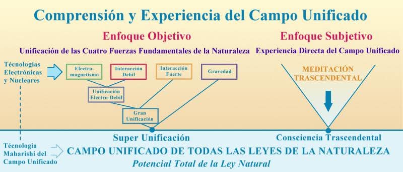 Diagrama de comprensión y experiencia del campo unificado